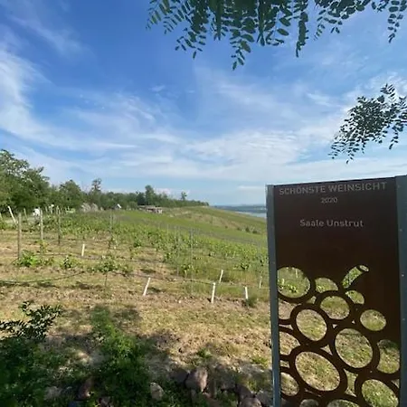 Ferienhaus Seepanorama-marina Geiseltalsee